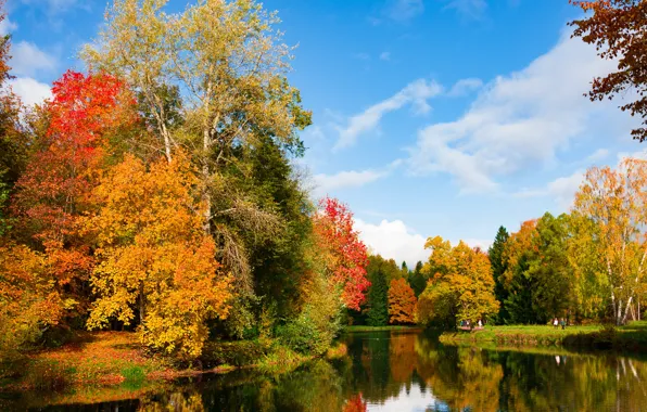 Autumn, leaves, trees, Park, river, colorful, river, nature