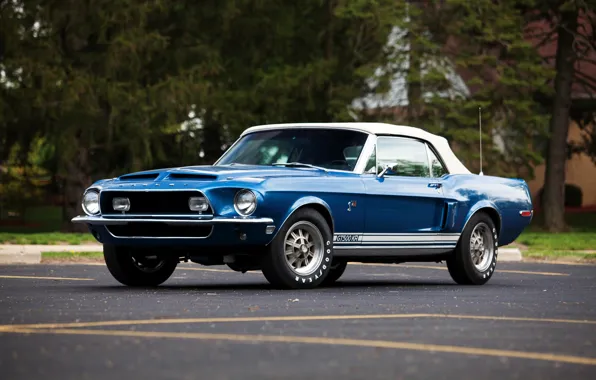 Shelby, GT500, convertible, Ford, Shelby, 1968, KR Convertible
