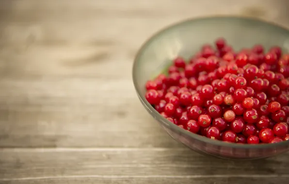 Picture plate, red, currants, photo, photographer, markus spiske