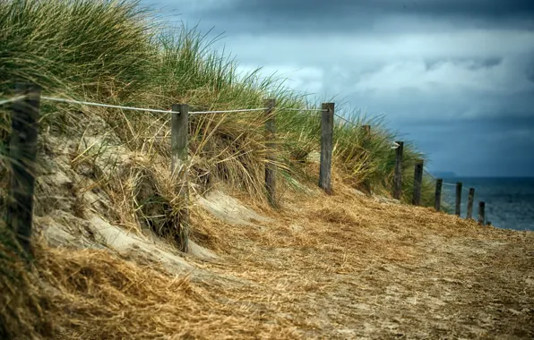 Beach, the fence, dunes