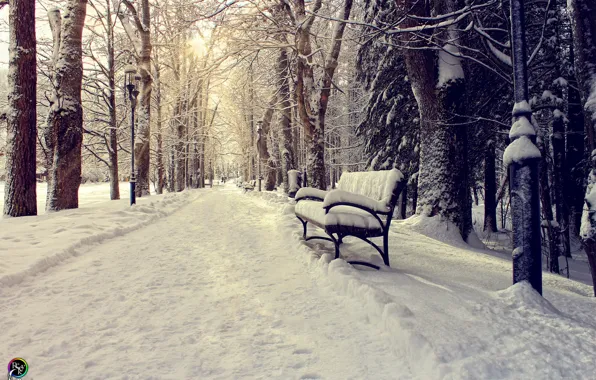 Picture winter, the sun, snow, bench, Park, Pavel Nazarenko