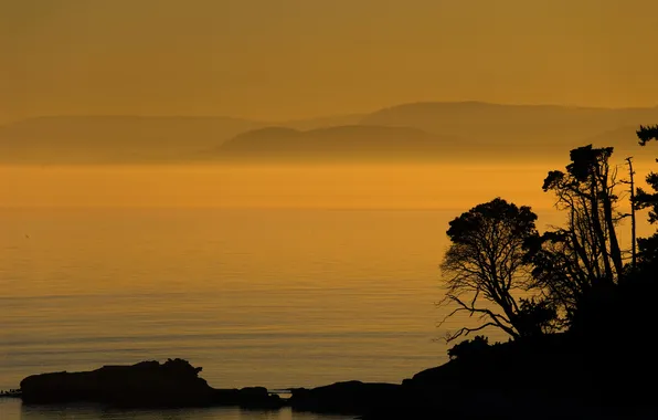 Picture sea, the sky, trees, mountains, rocks, silhouette