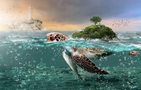 Sea, the sky, look, water, clouds, birds, rock, rendering