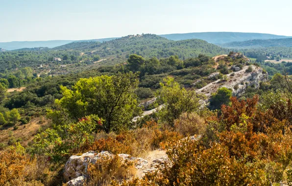 Picture forest, trees, mountains, stones, France, Sunny, the bushes, Provence