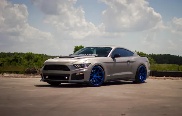 Wallpaper mustang, 5.0, roush, toyotires for mobile and desktop ...