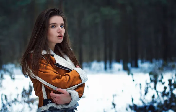 Forest, look, snow, trees, Girl, Vlad Popov