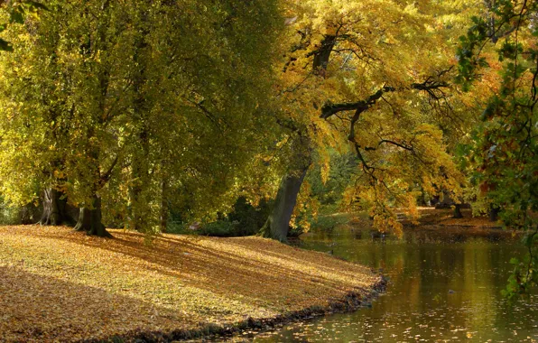 Autumn, leaves, trees, Park, river, Germany, Germany, Hannover