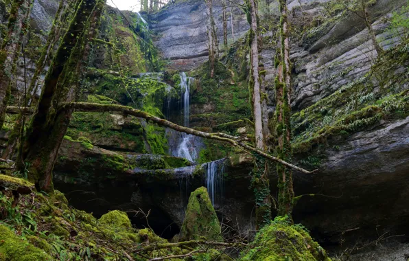 Forest, trees, rock, waterfall, moss, Luxembourg, Mullerthal Trail