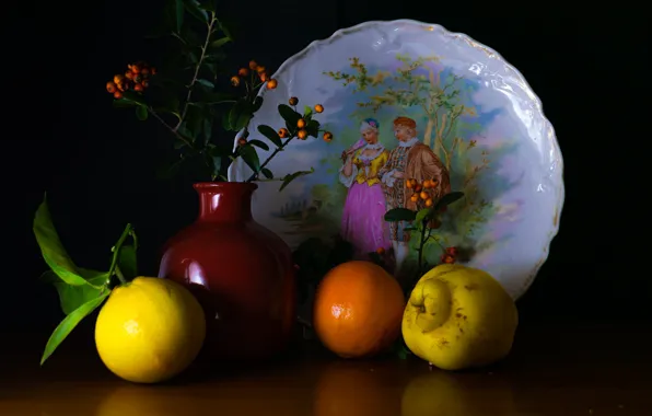 Branches, berries, the dark background, table, lemon, orange, fruit, vase