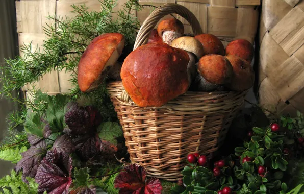Autumn, basket, mushrooms, berries harvest