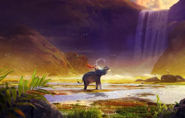Water, mountains, birds, lake, stones, elephant, waterfall, rider