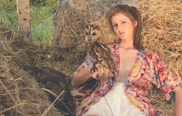 Picture girl, owl, heat, hay
