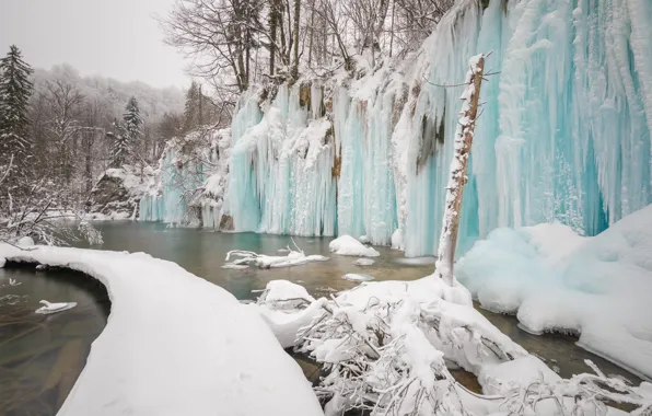 Winter, snow, trees, branches, nature, rocks, shore, waterfall