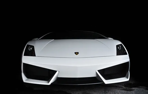 White, white, gallardo, lamborghini, the front, Lamborghini, Gallardo, lp560-4
