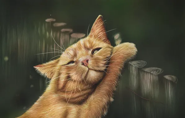 Cat, figure, the fence, by shonechacko