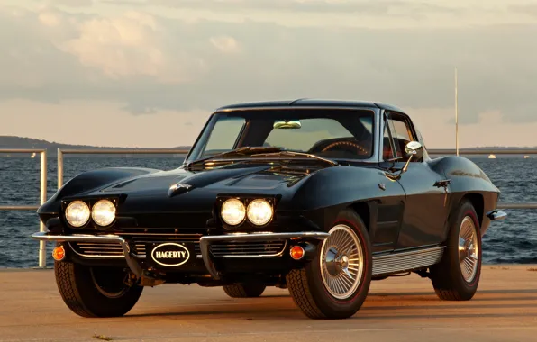 Corvette, Sting, Ray