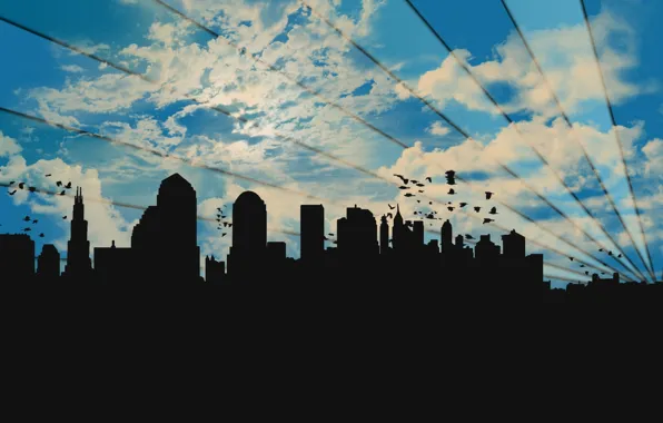 The sky, clouds, birds, the city, strip, silhouettes