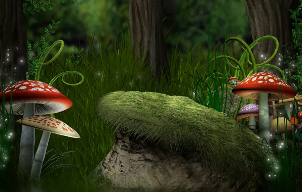 Picture forest, grass, mushrooms, ferns, Amanita, forest, Magic, mushroom