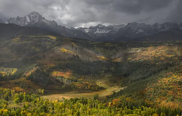 Autumn, forest, light, mountains, fog, the slopes, tops, view