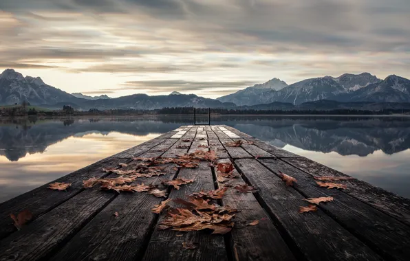 Leaves, bridge, lake