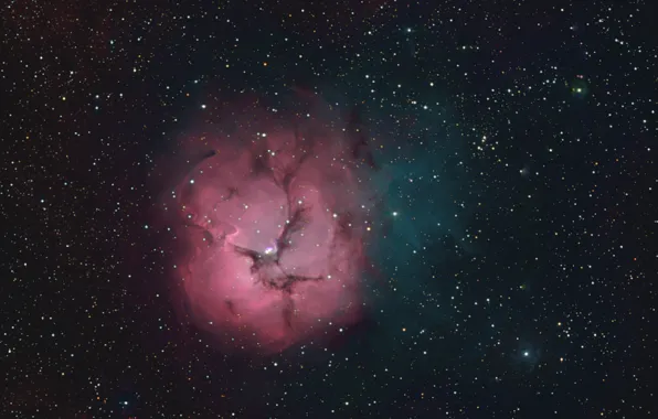 Nebula, in the constellation, Sagittarius, trilobal, diffuse, Triple