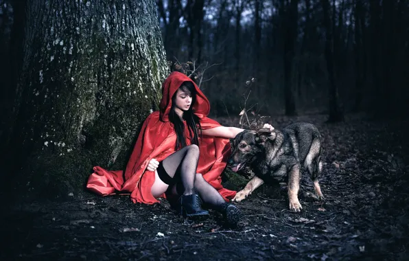 Forest, girl, tree, dog, legs, cloak, Arya, Laurent KC