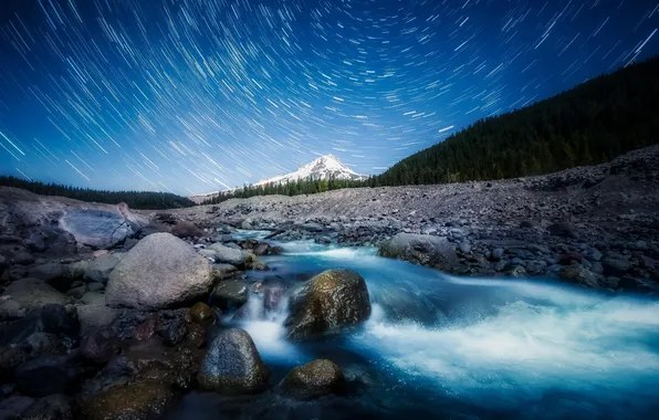 Picture forest, the sky, stars, mountains, night, stones, excerpt