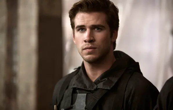 Picture portrait, actor, Liam Hemsworth