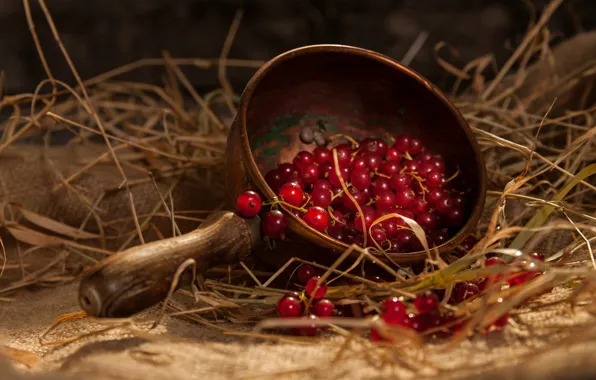 Berries, straw, still life, red, currants, burlap, scoop