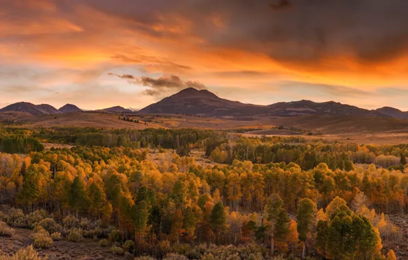 Autumn, forest, landscape, sunset, mountains, nature, beauty, the evening