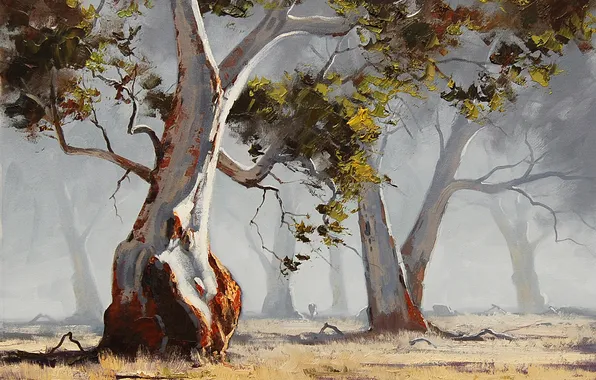 Trees, nature, art, Sunny, artsaus, eucalyptus tree