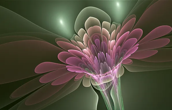 Picture flower, line, glow, petals, stem