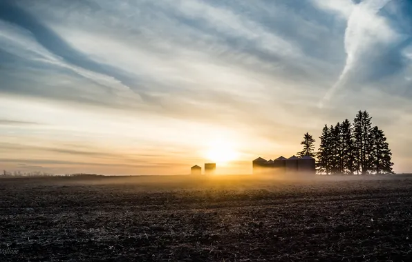 Field, landscape, Jeff Wallace