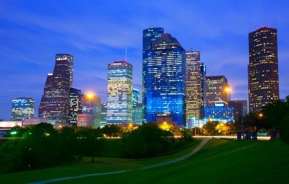 Road, trees, night, lights, Park, lawn, home, skyscrapers