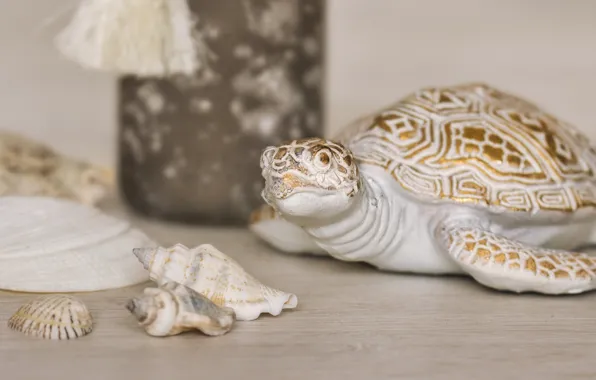 Turtle, shell, light background, figure, ceramics, iggrushka