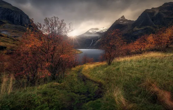 Autumn, the sky, grass, the sun, clouds, light, mountains, nature