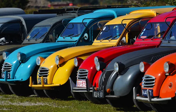 Retro, paint, color, headlight, exhibition, a number, citroen 2cv