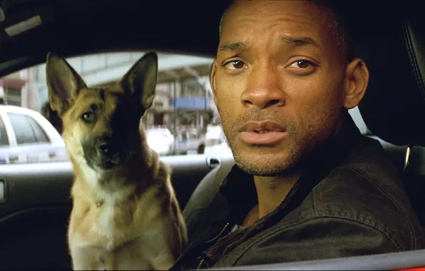 Picture Will Smith, Sam, I Am Legend, Will Smith, Abby, Abby, Robert Neville, I am legend