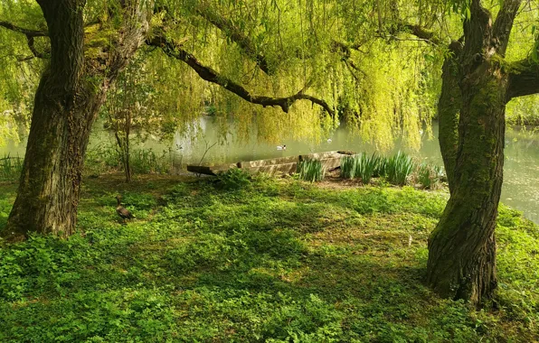 Landscape, france, alsace, naturoparc