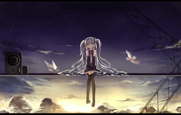 Picture the sky, girl, the sun, clouds, sunset, birds, anime, art