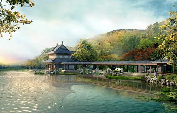 Trees, nature, river