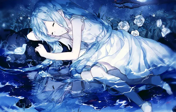 Picture night, sleeping, girl