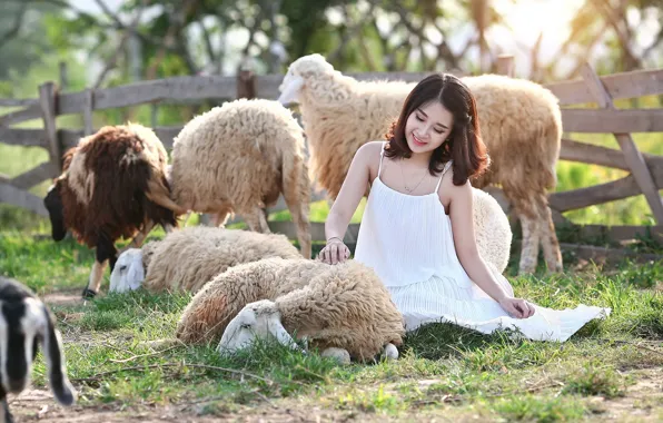 Picture girl, nature, sheep