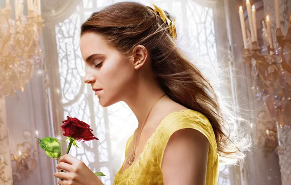 Picture cinema, girl, love, rose, Disney, Emma Watson, flower, monster