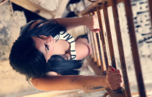 Girl, up, view, brunette, ladder, top, photo, photographer