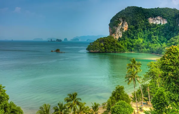 Picture sea, beach, summer, palm trees, rocks, shore, resort