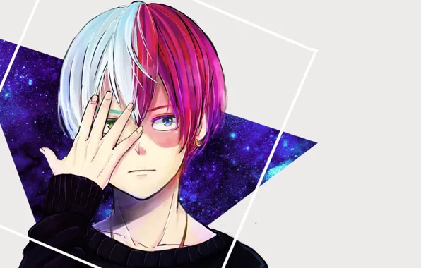 Guy, My Hero Academia, Boku No Hero Academy, Todoroki Shoto, My Hero Academy