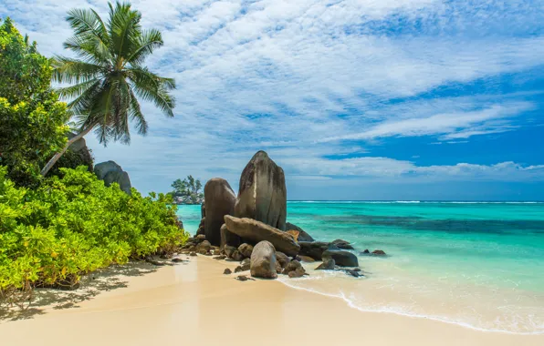 Sand, sea, beach, nature, the ocean, summer, beach, sea