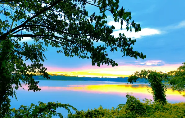 Sun, Water, Sunrise, Dawn, Morning, Lake, Trees, Reflection