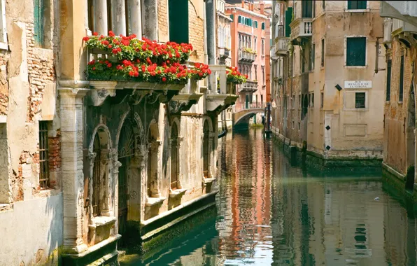 Picture home, beauty, Venice